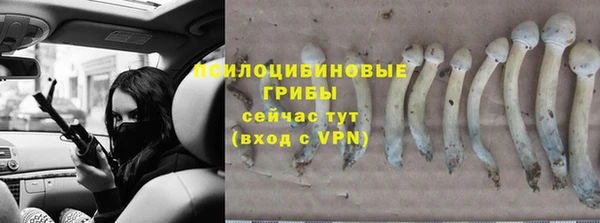 2c-b Белокуриха