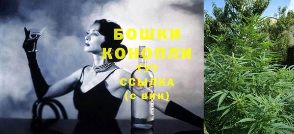 2c-b Белокуриха