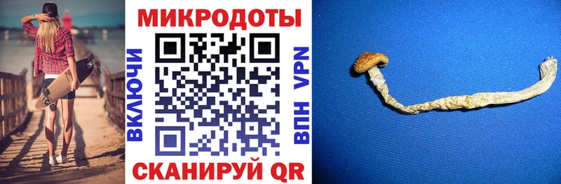 Псилоцибиновые грибы Magic Shrooms Волосово
