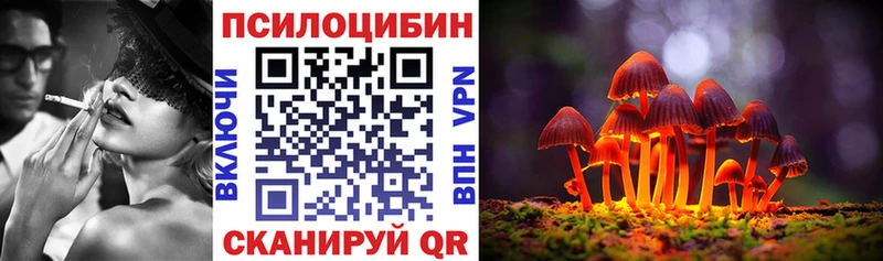 закладка  Волосово  Псилоцибиновые грибы мухоморы 